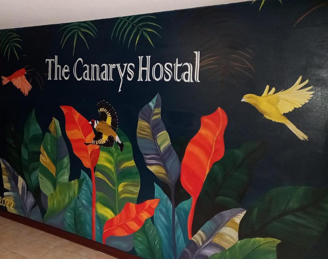 The Canarys Hostal Santa Rosa de Cabal Eksteriør bilde